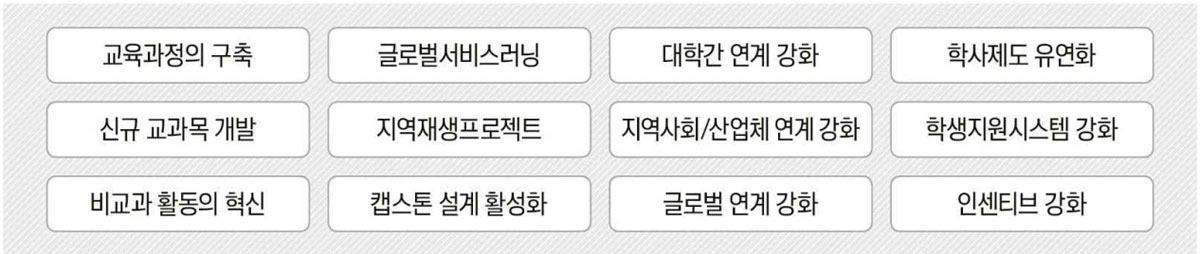 교육과정의 구축, 글로벌서비스러닝, 대학간 연계 강화, 학사제도 유연화, 신규 교과목 개발, 
                            지역재생프로젝트, 지역사회/산업체 연계 강화, 학생지원시스템 강화, 비교과 활동의 혁신, 캡스톤 설계 활성화, 글로벌 연계 강화, 인센티브 강화